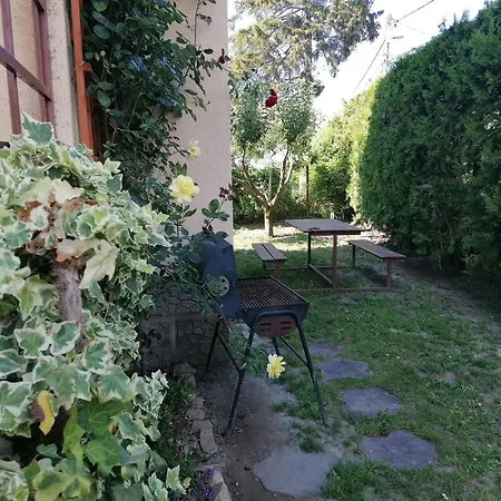 Gabriella Haz * Szólád