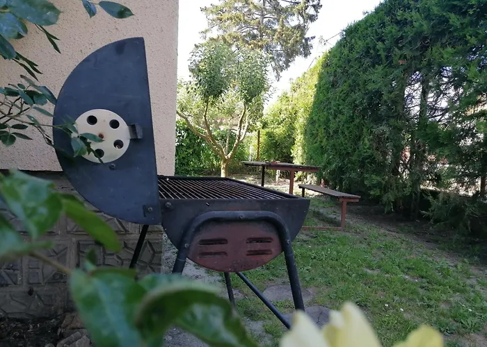 Gabriella Haz Szolad